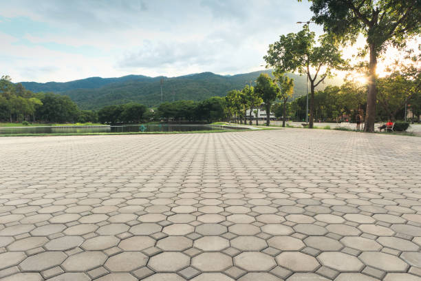 Best Professional Driveway Pavers  in Homosassa, FL